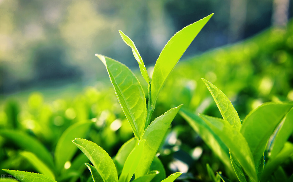 为不可能的事而过度焦虑和担心,过度担心焦虑恐惧症吃什么药