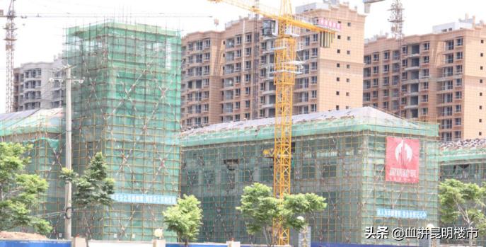 南市区教育大盘,实探学区