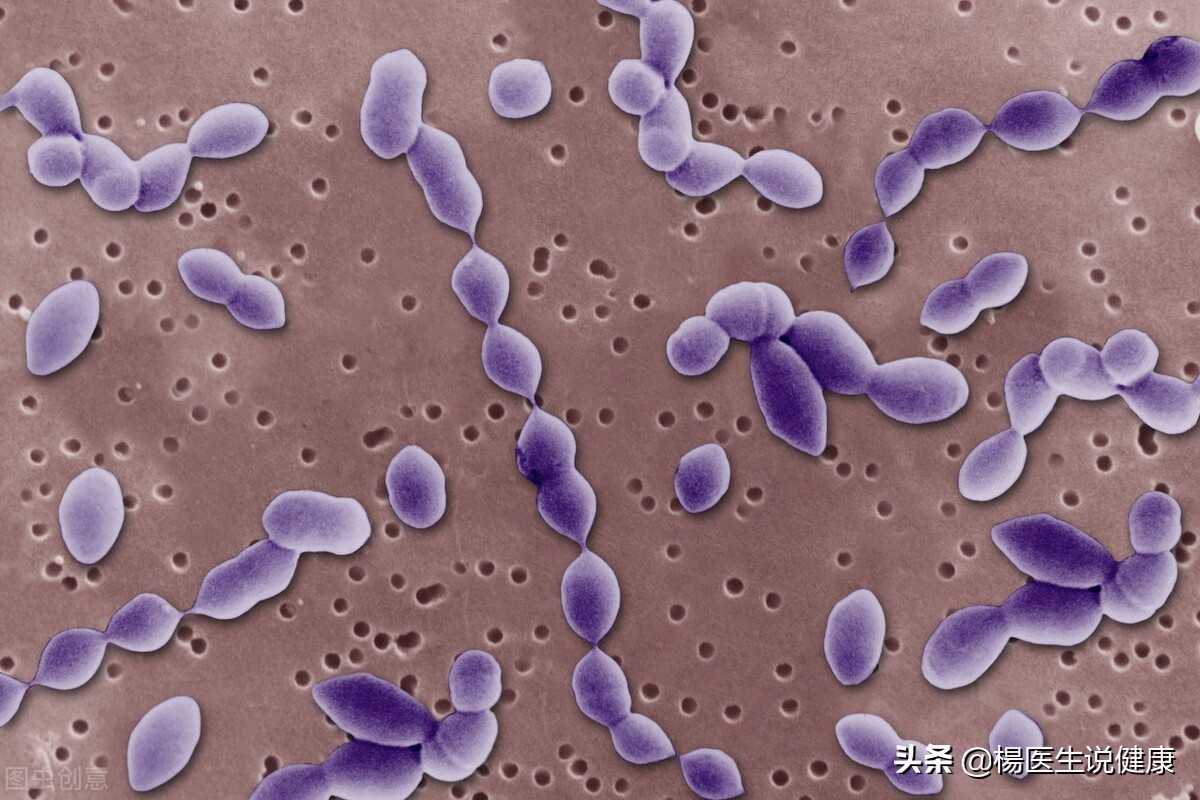 阿莫西林是好药只对5种病有效,阿莫西林是好药但只对四种病有效