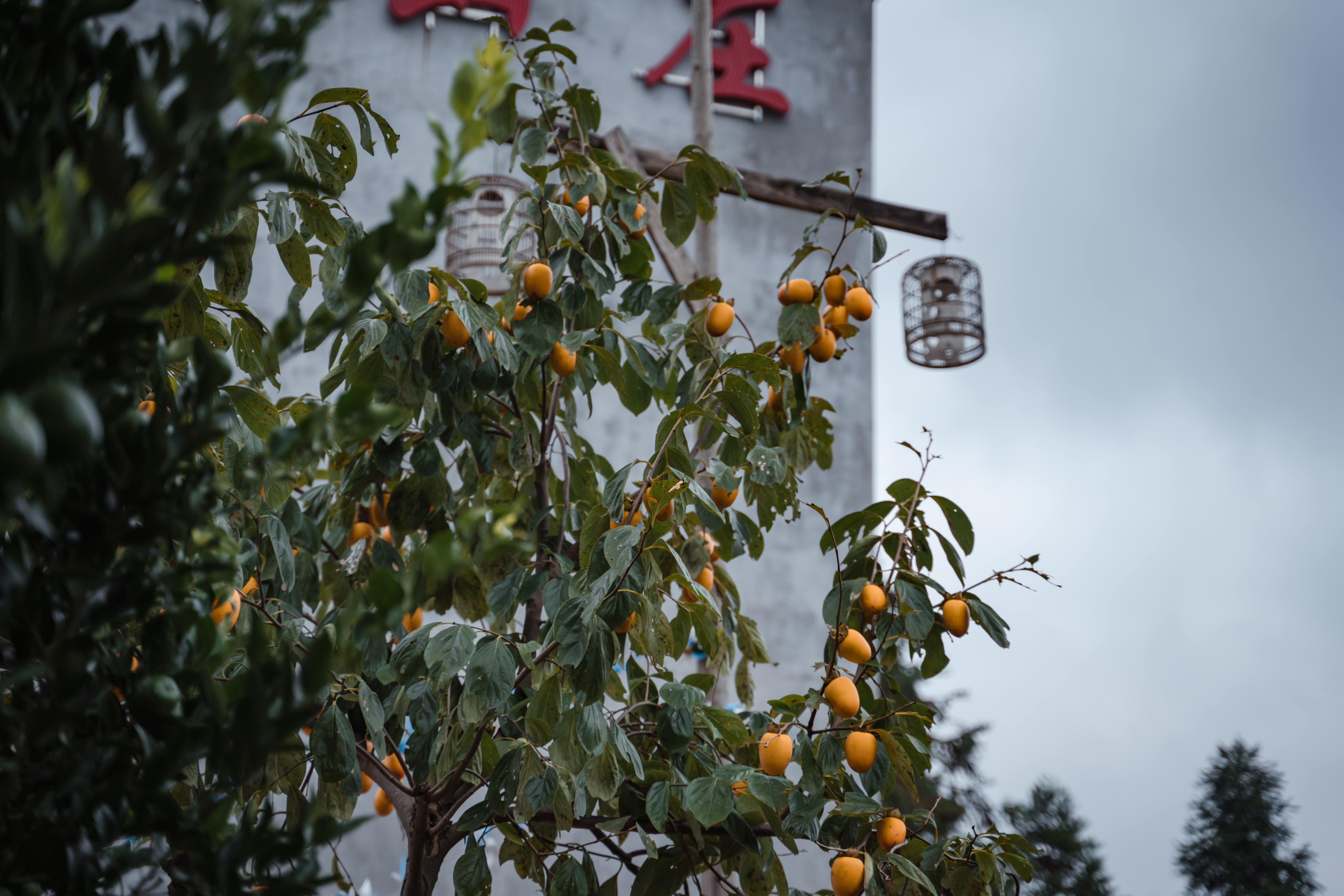 贵州人少景美的小村寨,贵州特色寨子