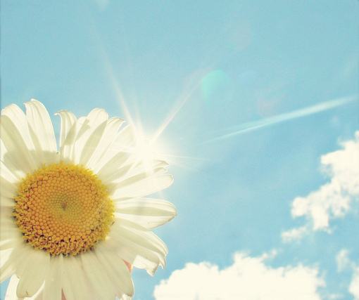 浜洪棿鑷虫殩鏄翰鎯呯殑浣滄枃,浜叉儏鍙嬫儏閭婚噷涔嬫儏