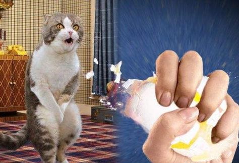 女人生孩子的疼和男人蛋疼，哪个更“疼”一筹？