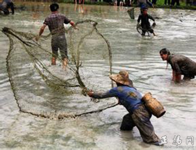 童年野外捉鱼,童年溪边捉鱼