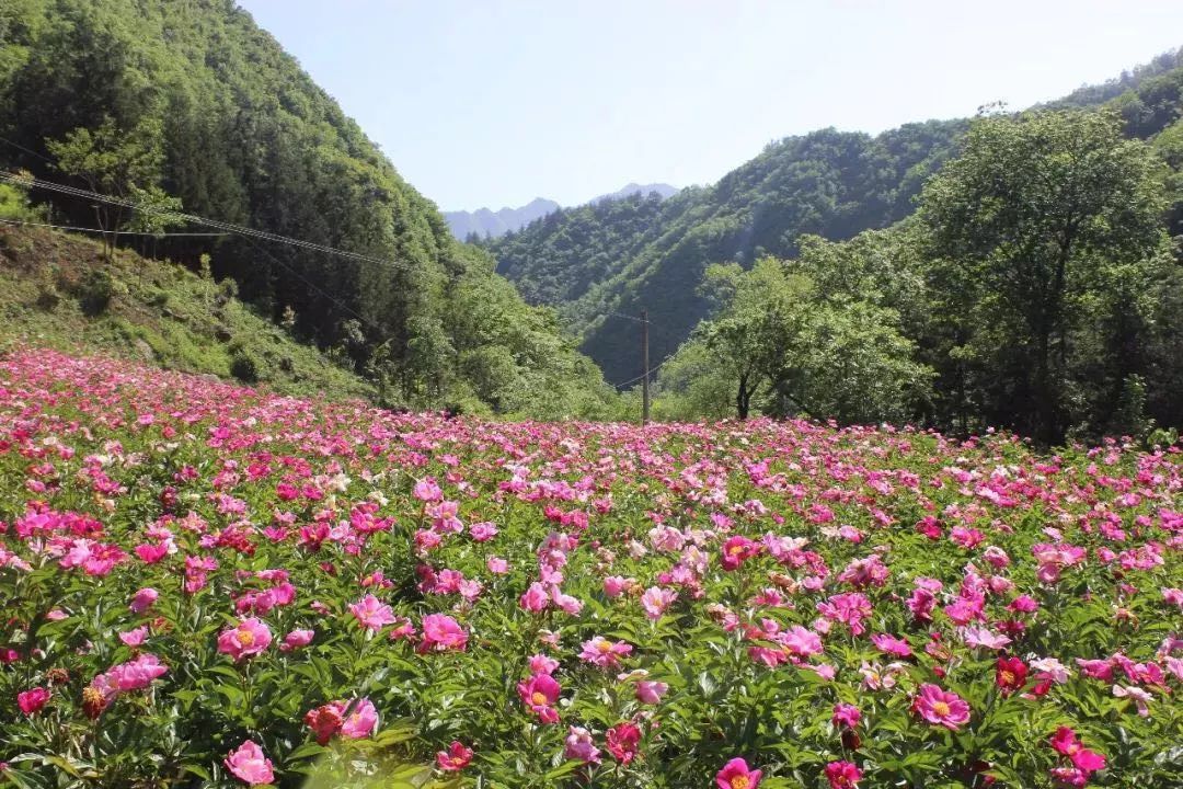 惠州山清水秀好风景,惠州哪个地方适合养老风景好