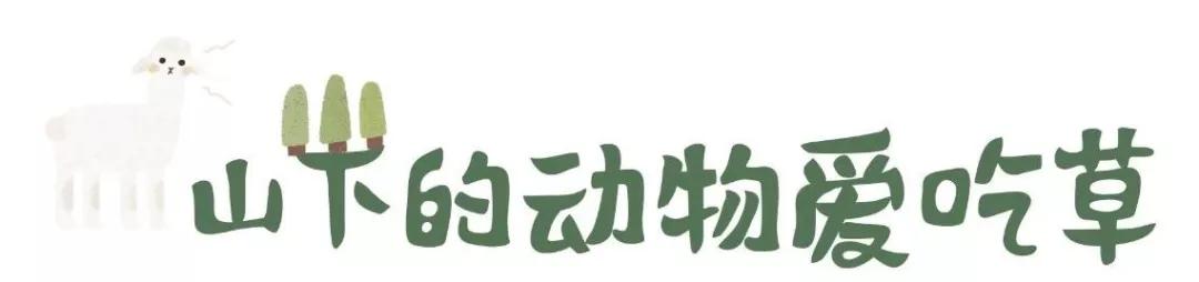 在动物园散步才是正经事|暴走福州