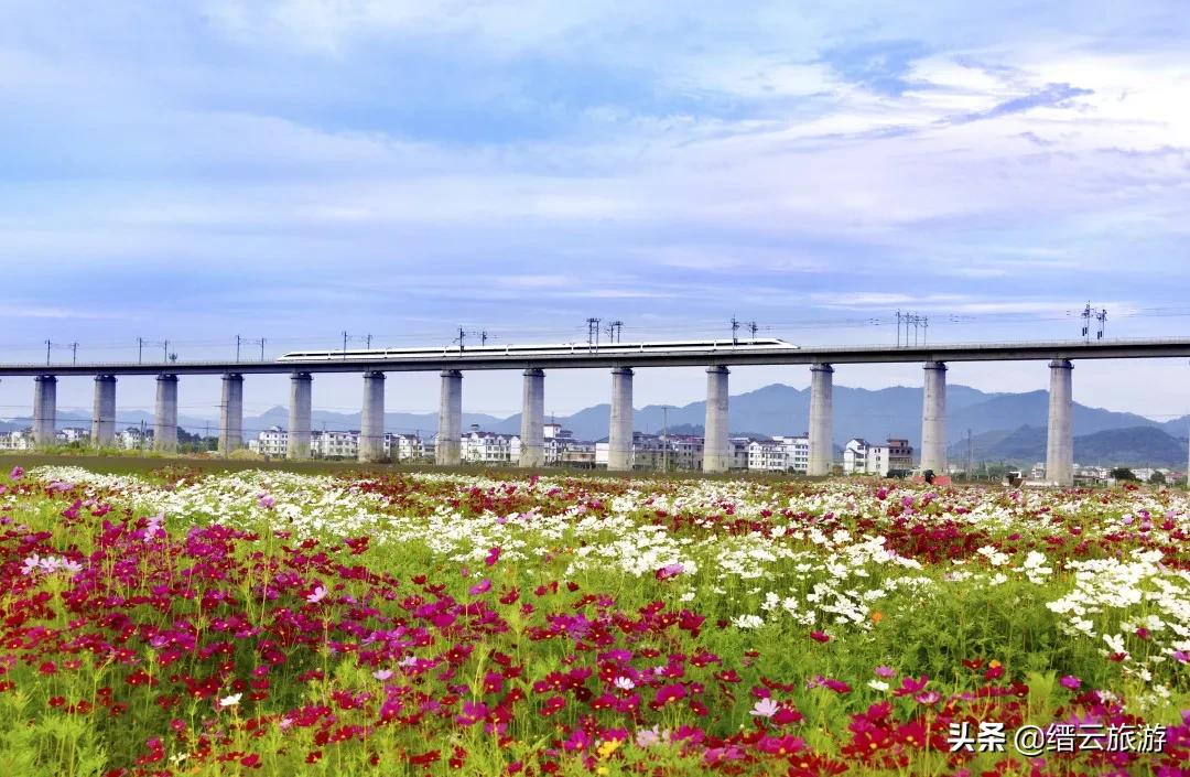 缙云景区拍照攻略视频,缙云风景拍摄