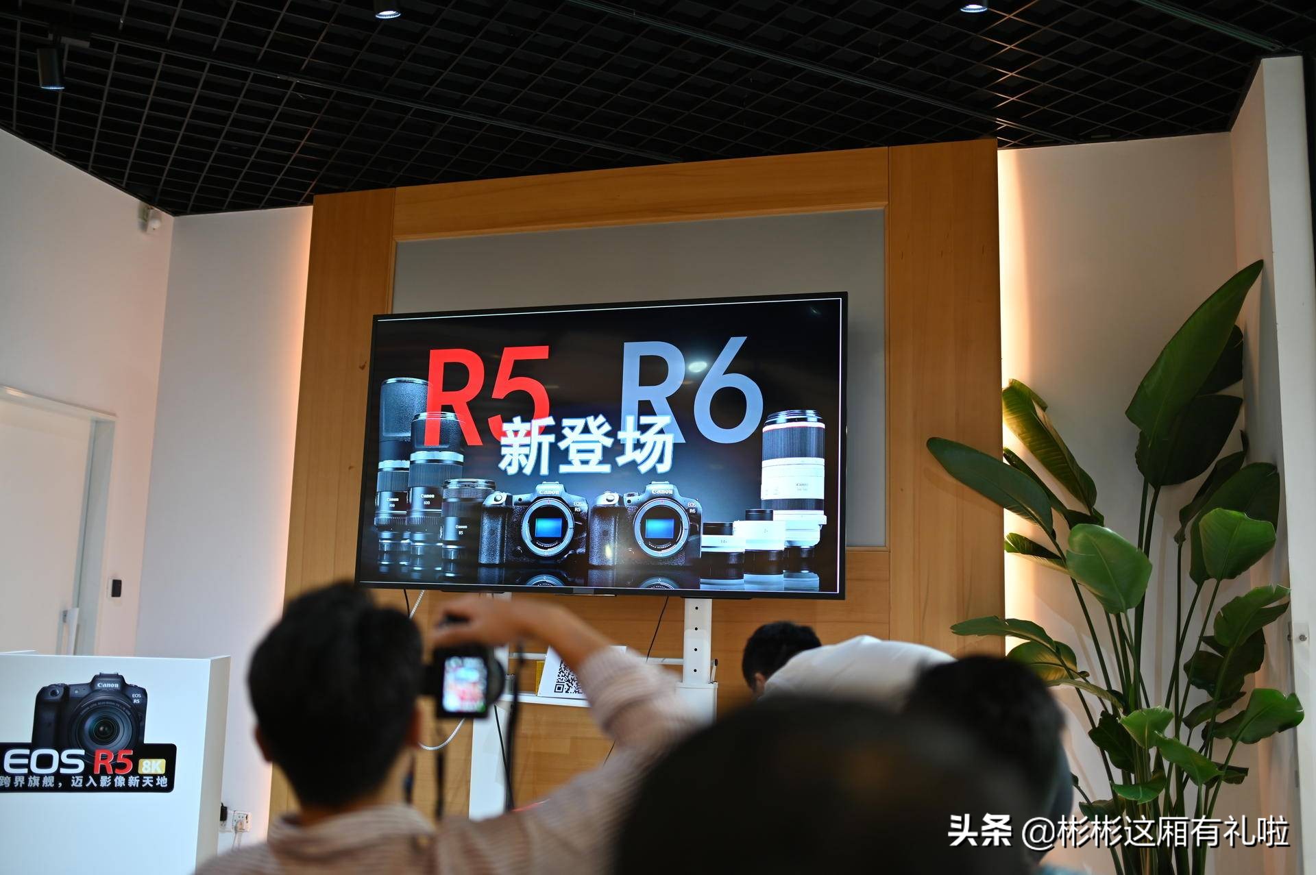 真香评测相机,佳能相机真香款