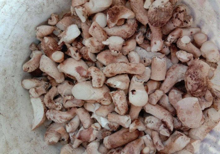 爱吃香菇酱不用去买教你秘制,最好吃香菇酱