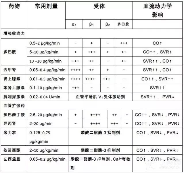 医学生必备的急救操作,心源性休克内科学教材