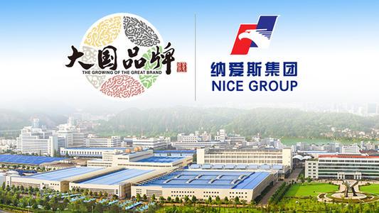 纳爱斯回顾,纳爱斯目前的现状