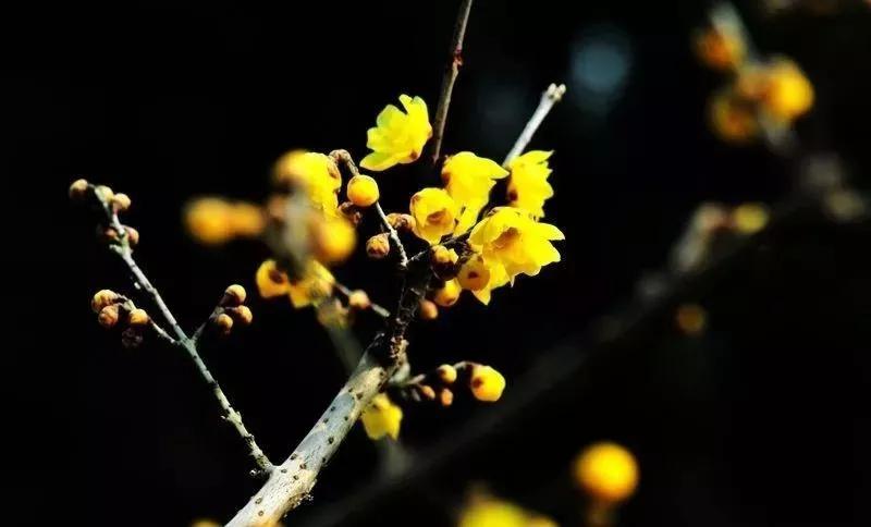 宁海中学,130岁了