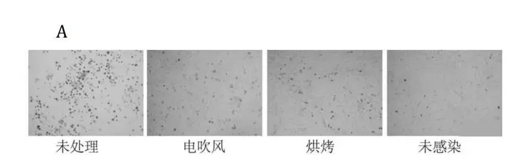 鐜板湪n95鍙ｇ僵鏈夊濂戒拱,缁堜簬涔板埌n95鍙ｇ僵浜嗚刀蹇敤杩欐嫑璇曡瘯
