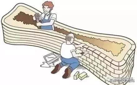 中老年骨质疏松吃什么药能补钙,中老年预防骨质疏松吃什么药