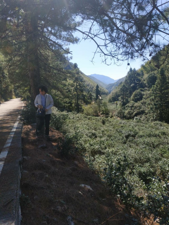 品茶的人有什么优点,品茶最注重什么