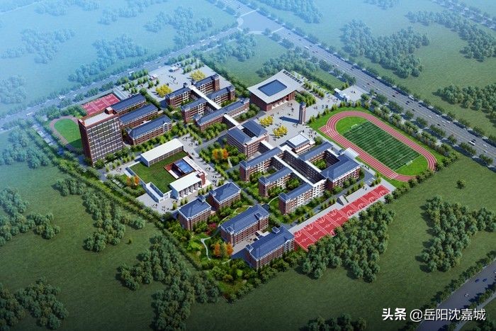 岳阳民办高中排名前十的学校,岳阳民办高中录取分数线