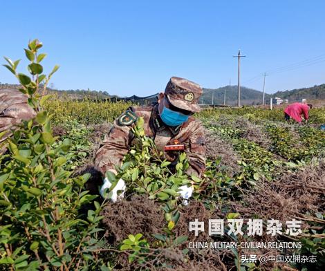 “大门神”“大工兵”“大忙人”“大老表”老兵曹宇林战“疫”中的四个角色令群众感动