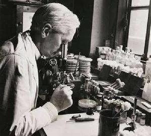 英国青霉素是谁发明的,青霉素发明者弗莱明与丘吉尔故事