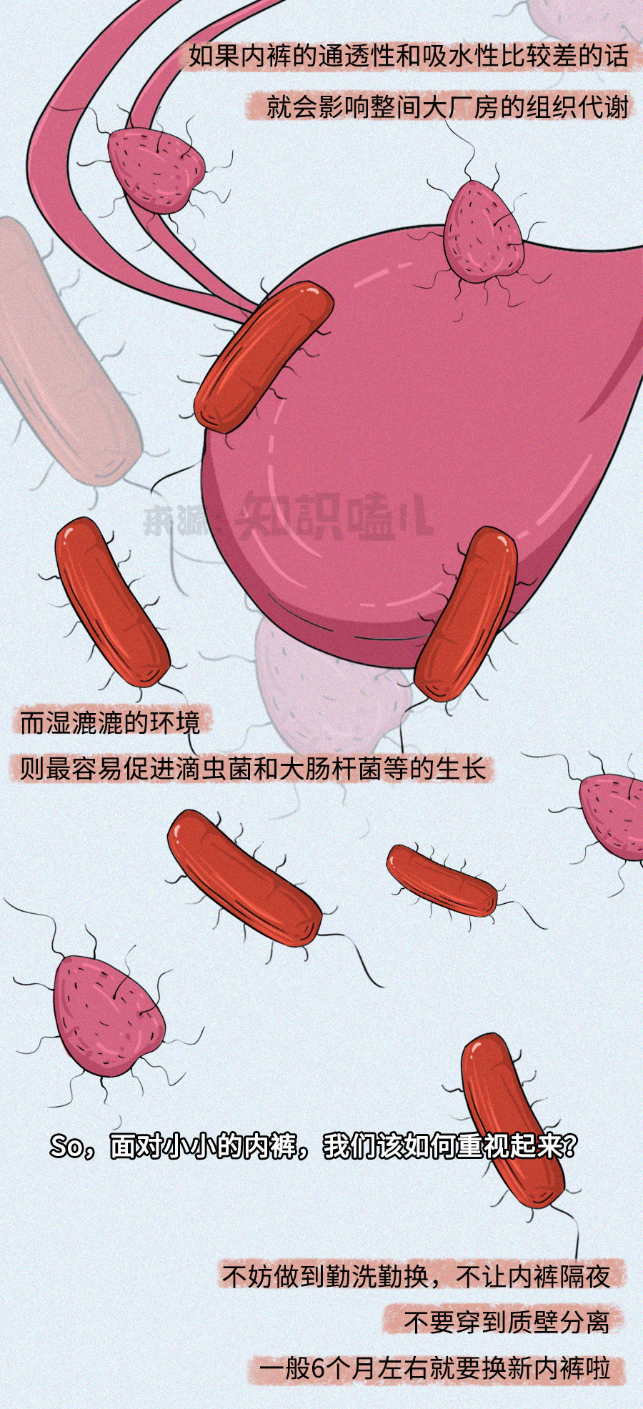 裤头上有多少细菌,牛仔裤感染细菌