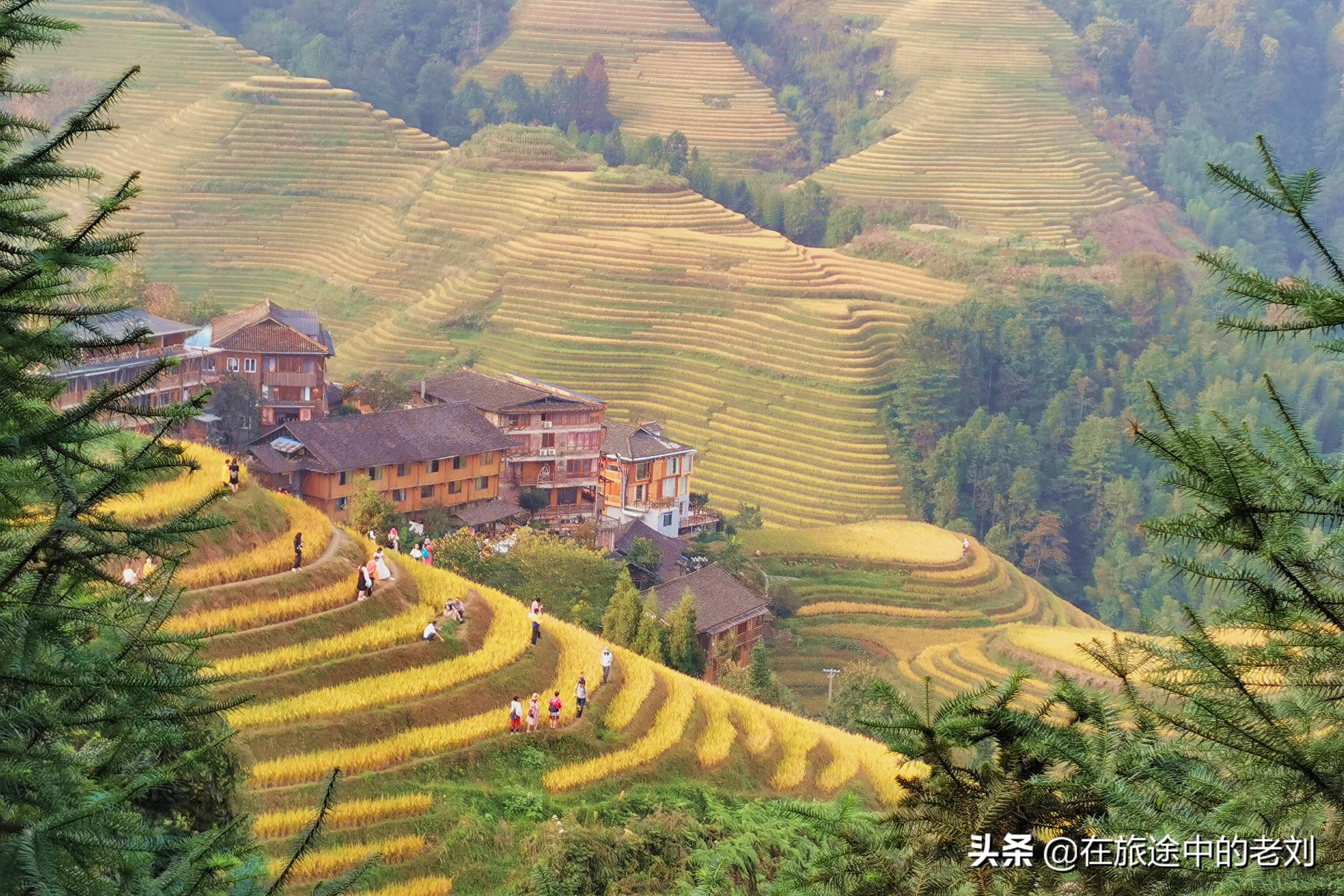 远赴龙脊大寨梯田,追逐今年最后的金黄——桂林七天游1