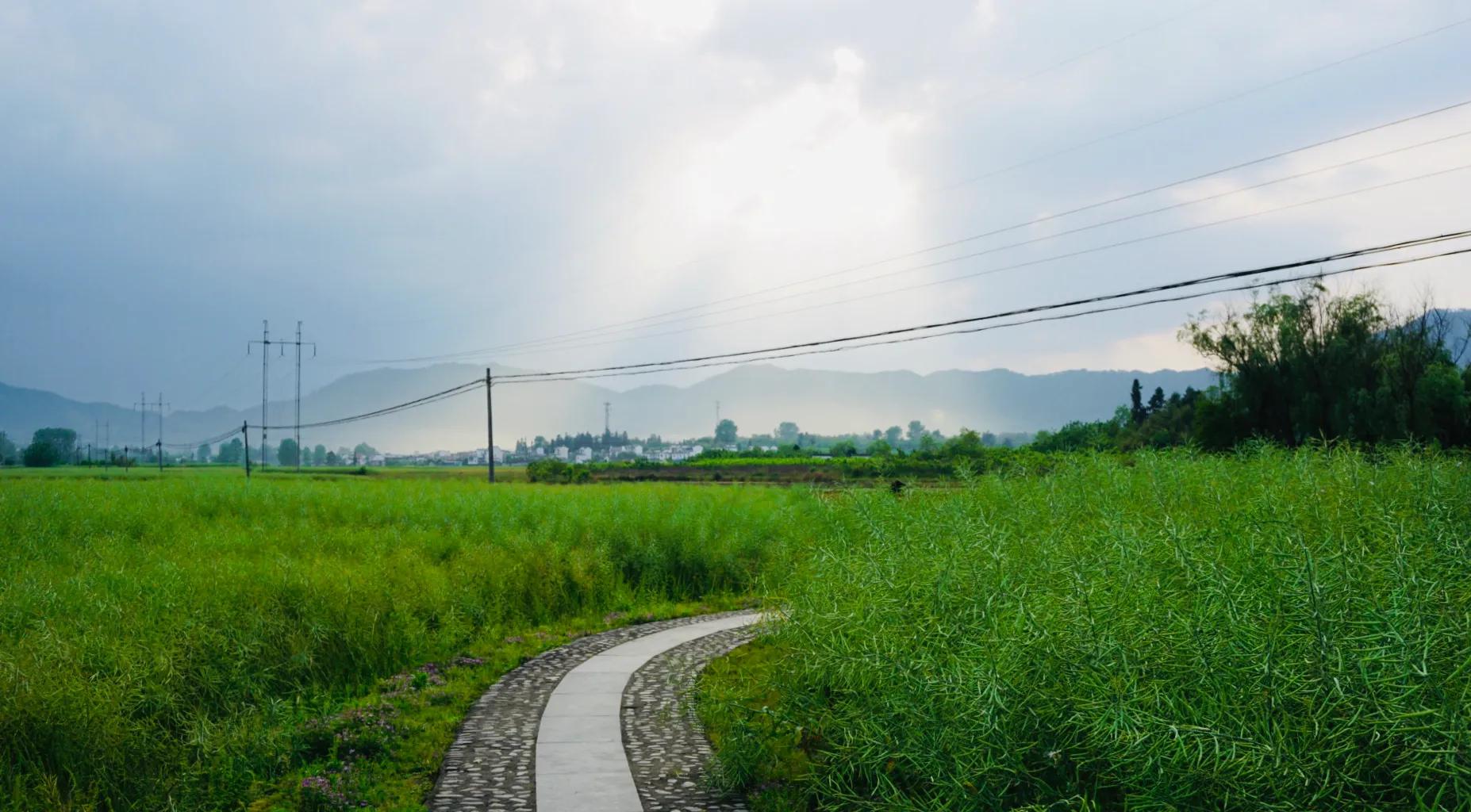 徽州商人主要分布,徽州商人一般去哪里