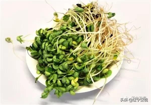 聊辽天,聊辽最高气温多少