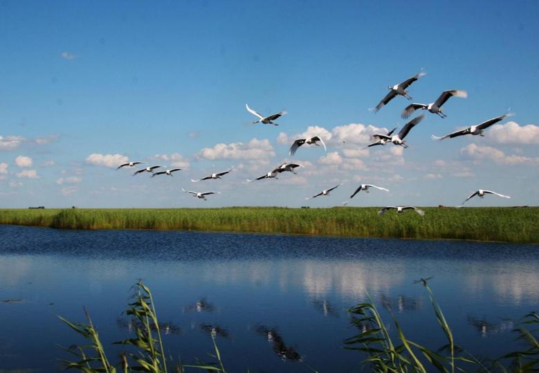 呼伦贝尔旅业旅游集团公司,呼伦贝尔旅业集团是国企吗