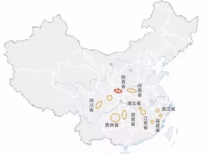 陕西周至猕猴桃哪家好,周至县猕猴桃和眉县猕猴桃