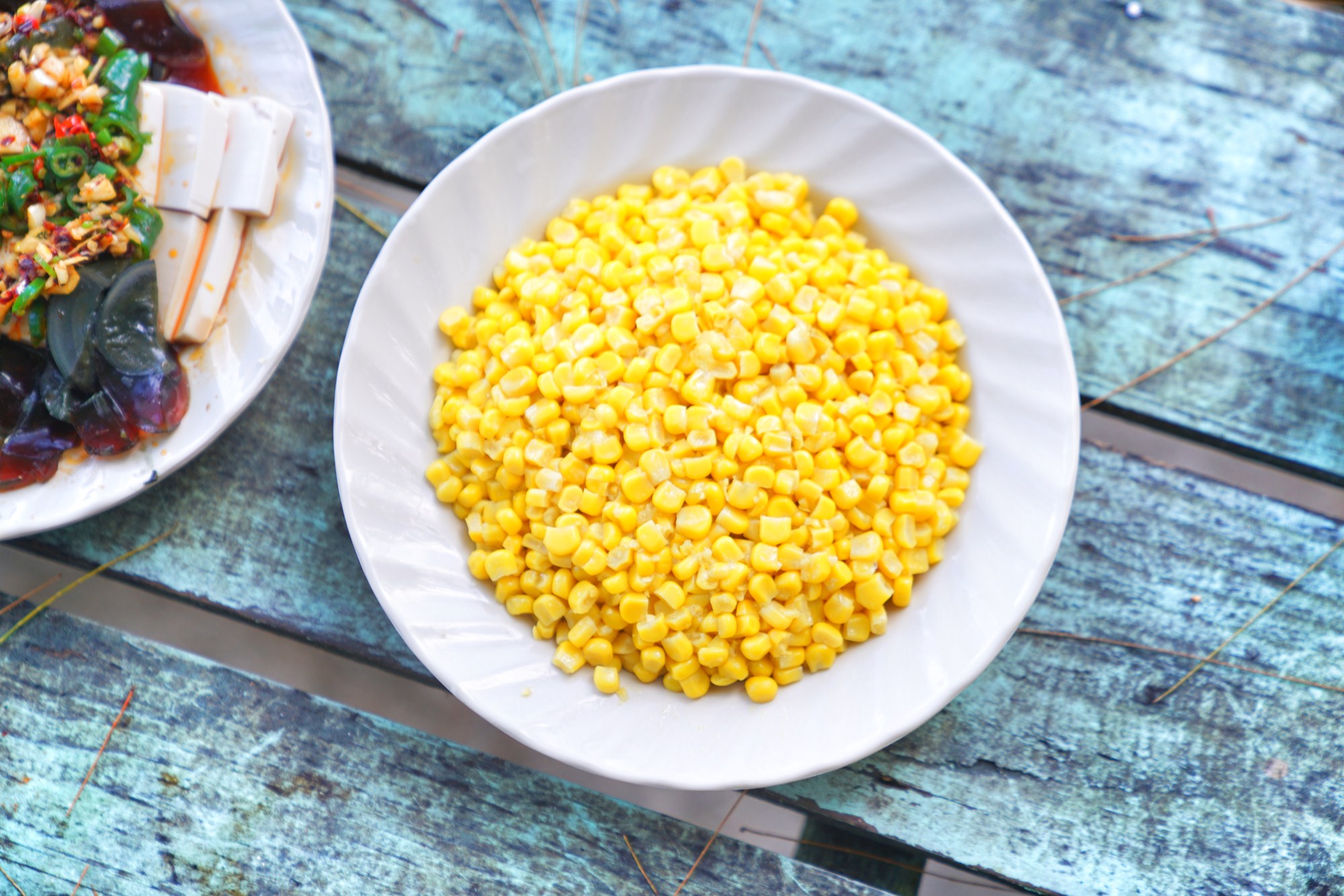 一定是特别的缘分——帕劳，再遇见「周若雪Patty」·上