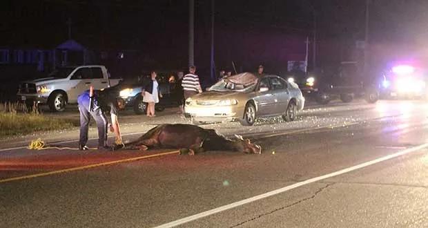 丰田rav4不建议买的理由,丰田rav4荣放值得购买吗