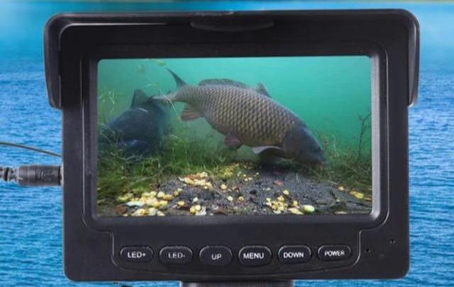 无视野锚鱼,为啥不禁止锚鱼