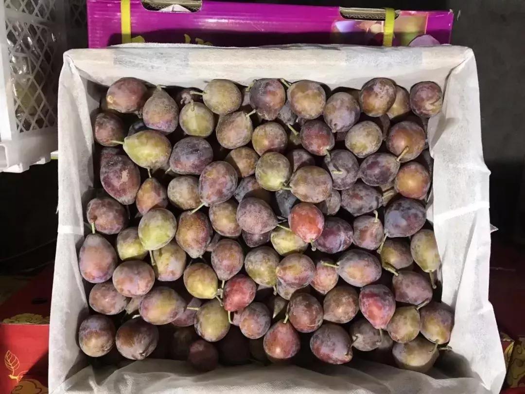 进口的水果有哪些,进口水果标准是什么