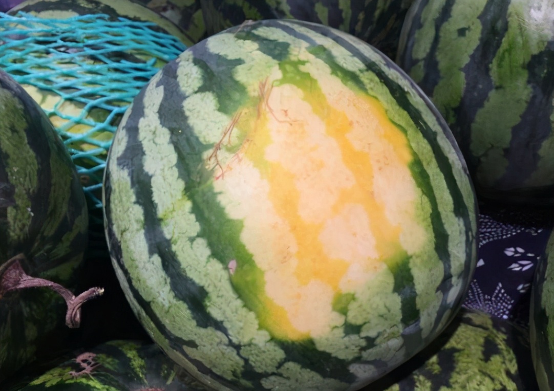 买西瓜要怎么挑,买西瓜技巧听声音高低