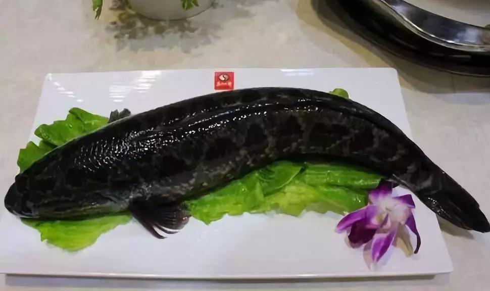 防城港怎么吃海鲜便宜不被坑,防城港干货海鲜有哪些