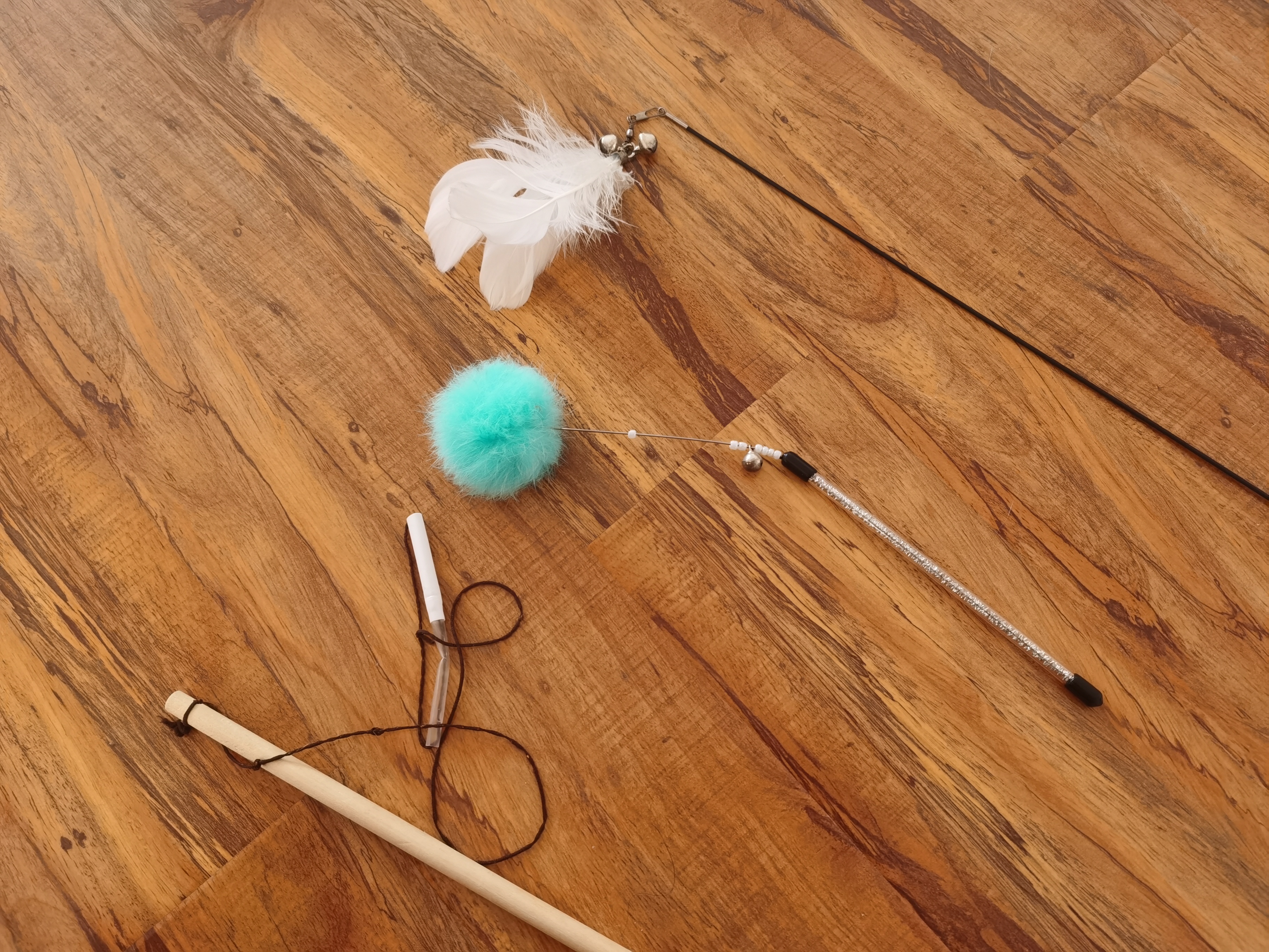 养猫必买物品 (养猫用品清单推荐)