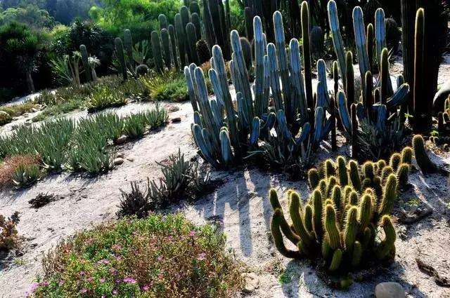 春节从南京去厦门自驾旅游攻略,厦门旅游十大必去景点景区攻略