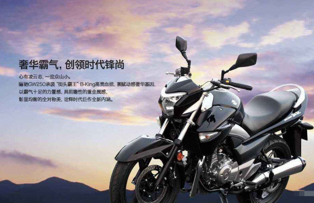 全新abs版gw250,最新款gw250f带abs版