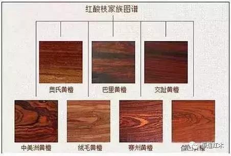 白酸枝和花枝有区别吗,花枝木和白酸枝有什么区别