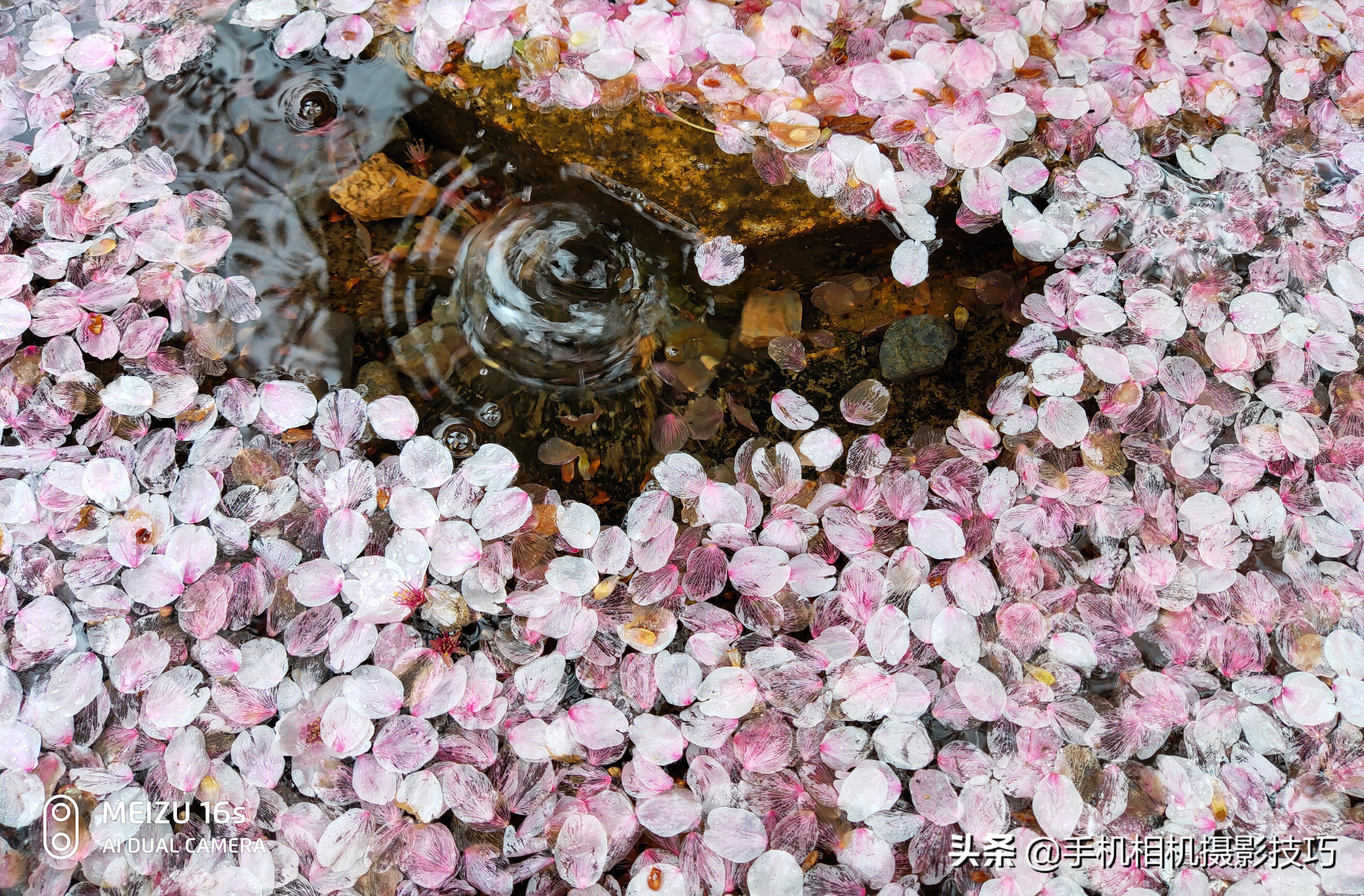 魅族16s拍照技巧,魅族16s拍照