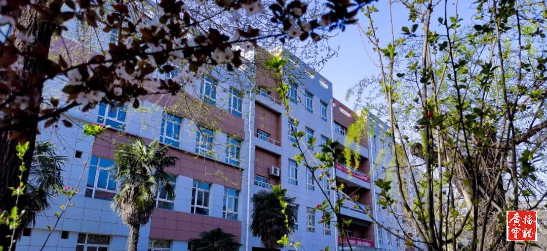 春天里的校园美景,春天里的校园很美