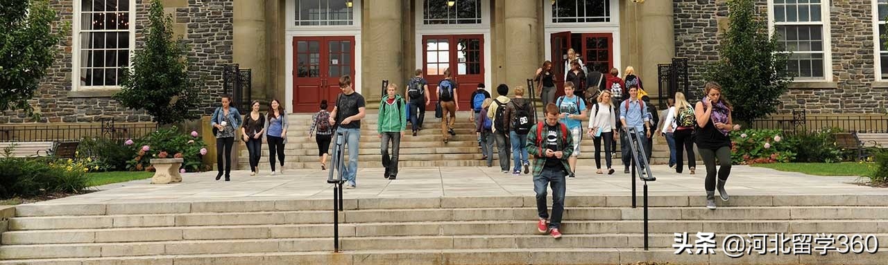 加拿大工程专业那么热门,我也想去达尔豪斯大学