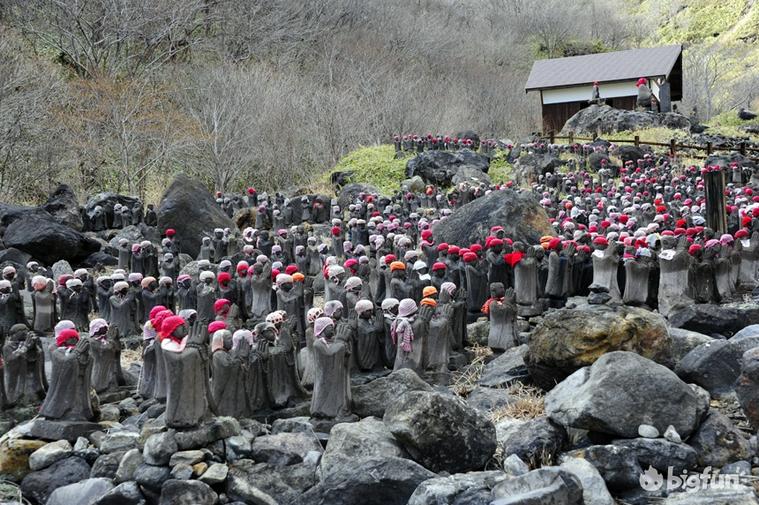 明日方舟种族考据,明日方舟考据党