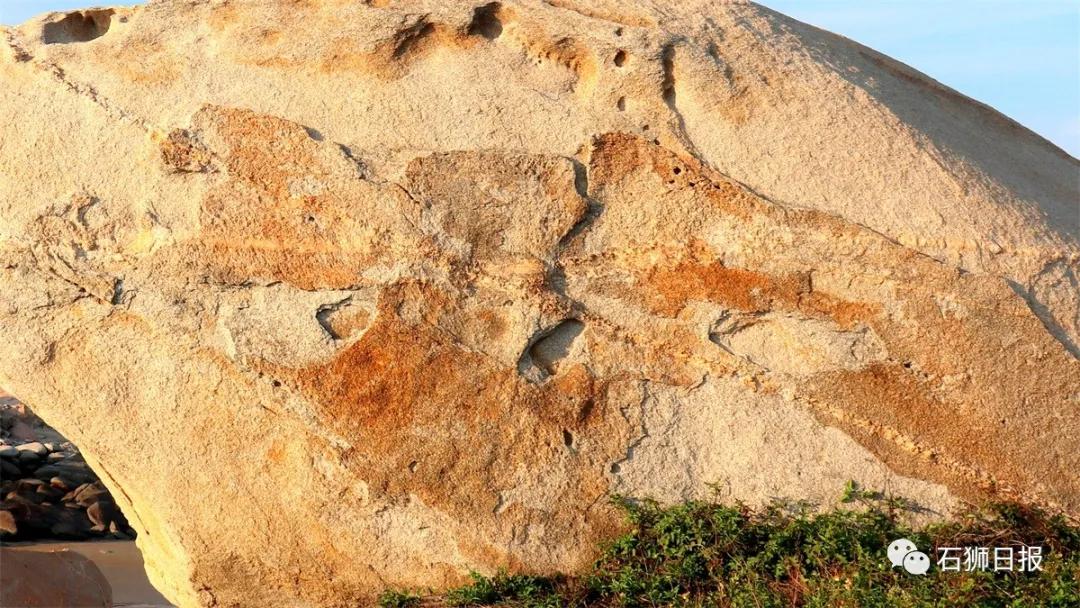 一片美丽的沙滩,石狮最美海滩