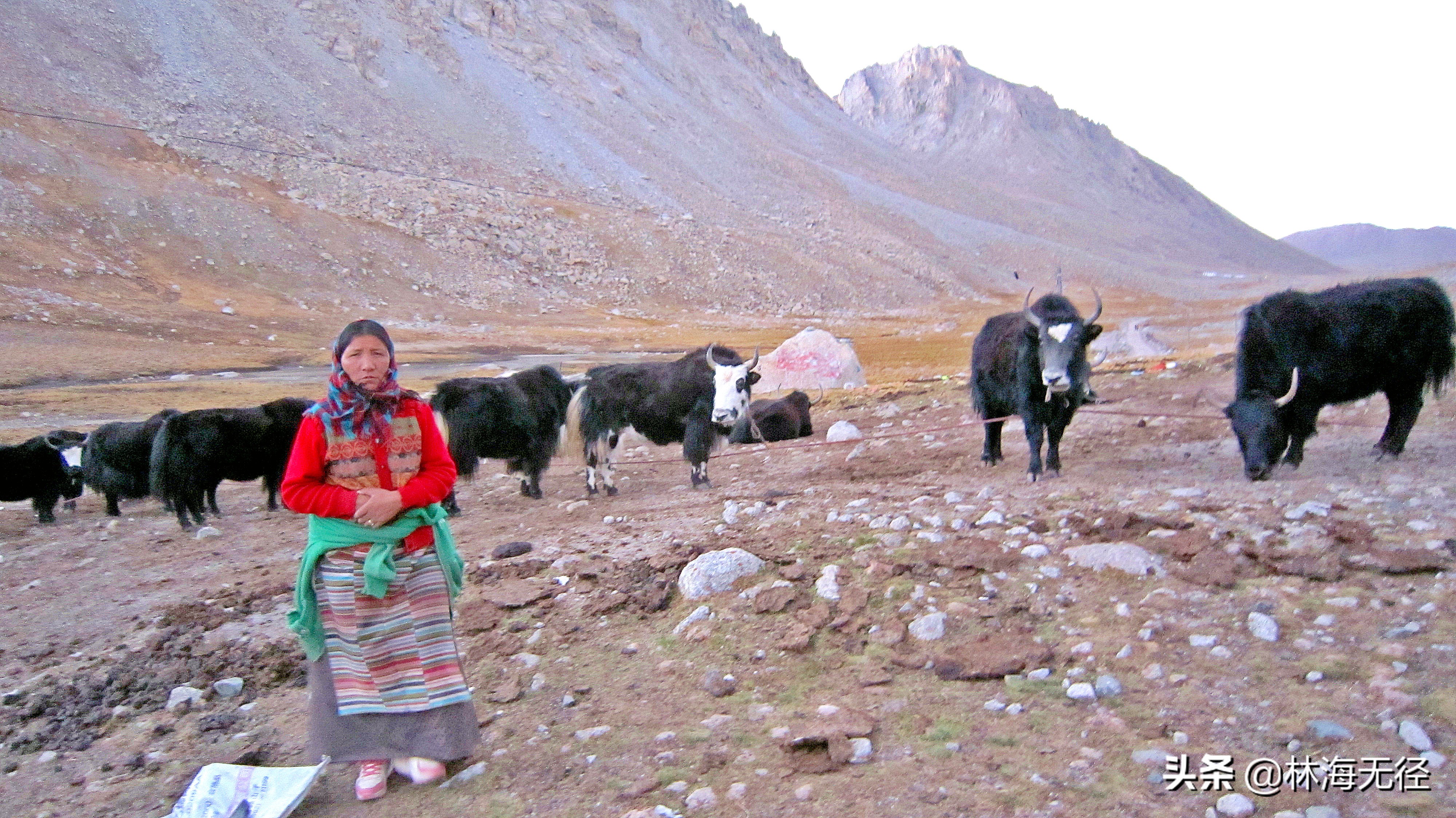 冈仁波齐徒步到拉萨,冈仁波齐徒步十一转