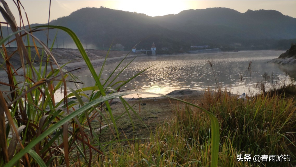 钓鱼水库窝料怎么选择,野钓窝料的打法