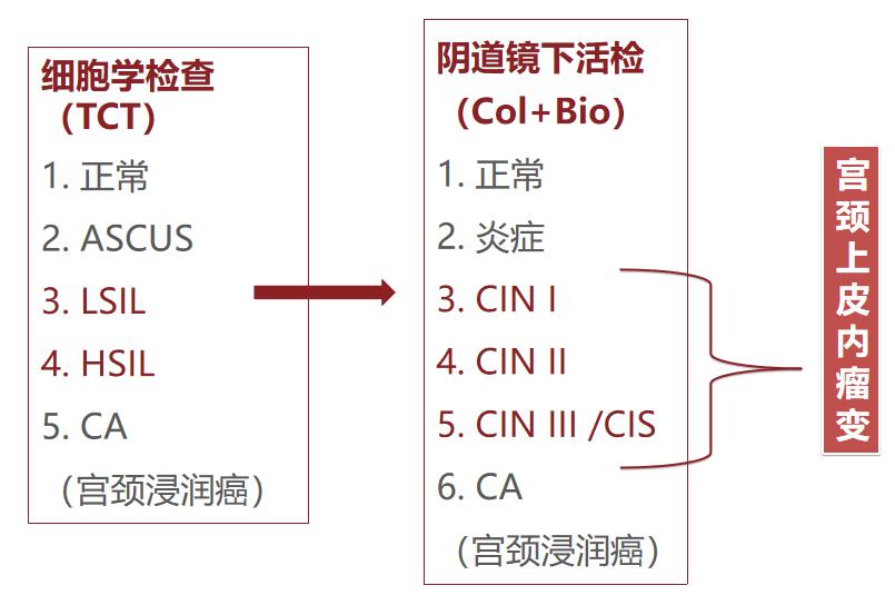 宫颈病变的诊断和治疗,宫颈病变的诊断和治疗华医网