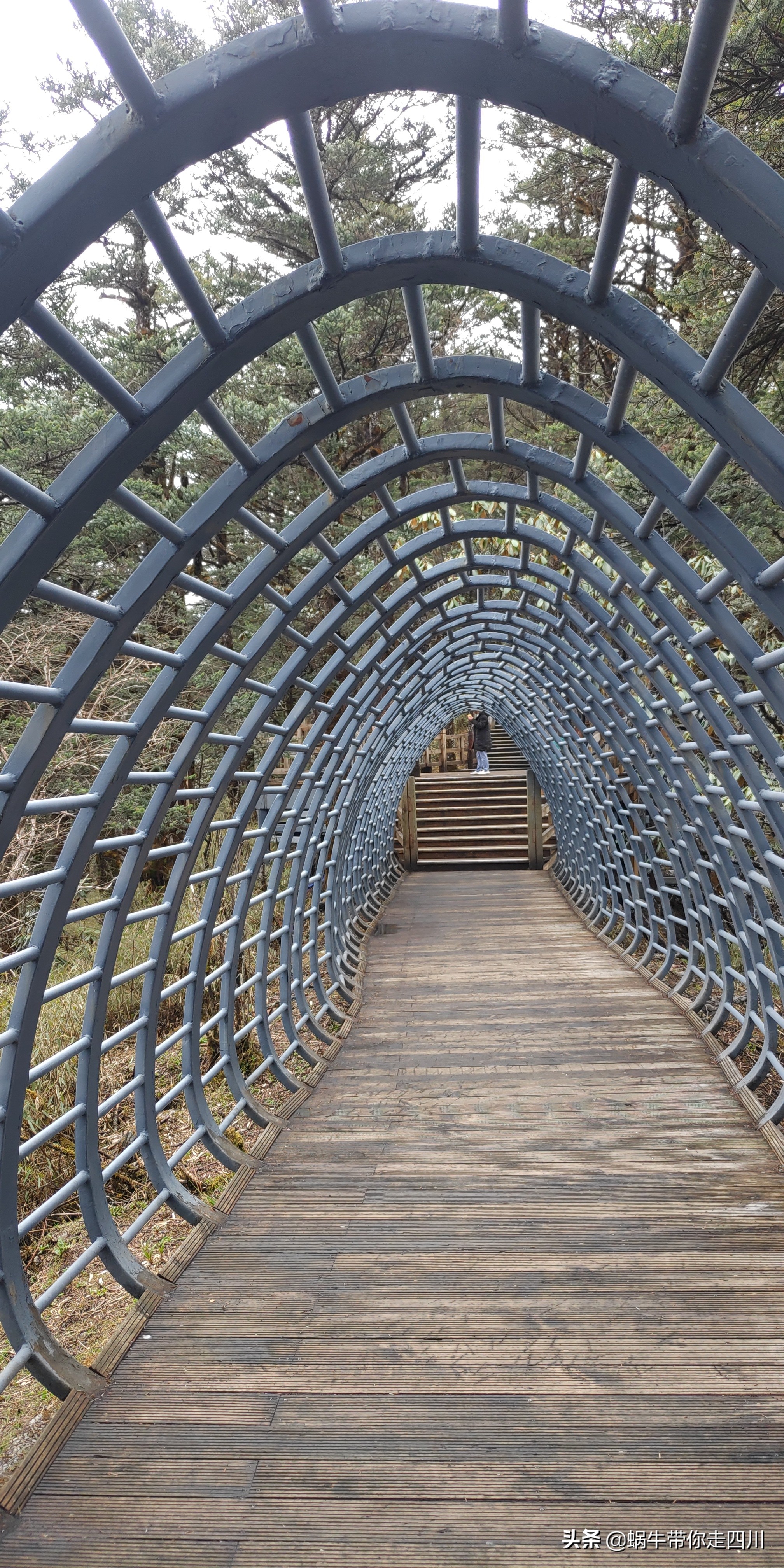 成都去西岭雪山两天一夜旅游团,成都出发雪山旅游