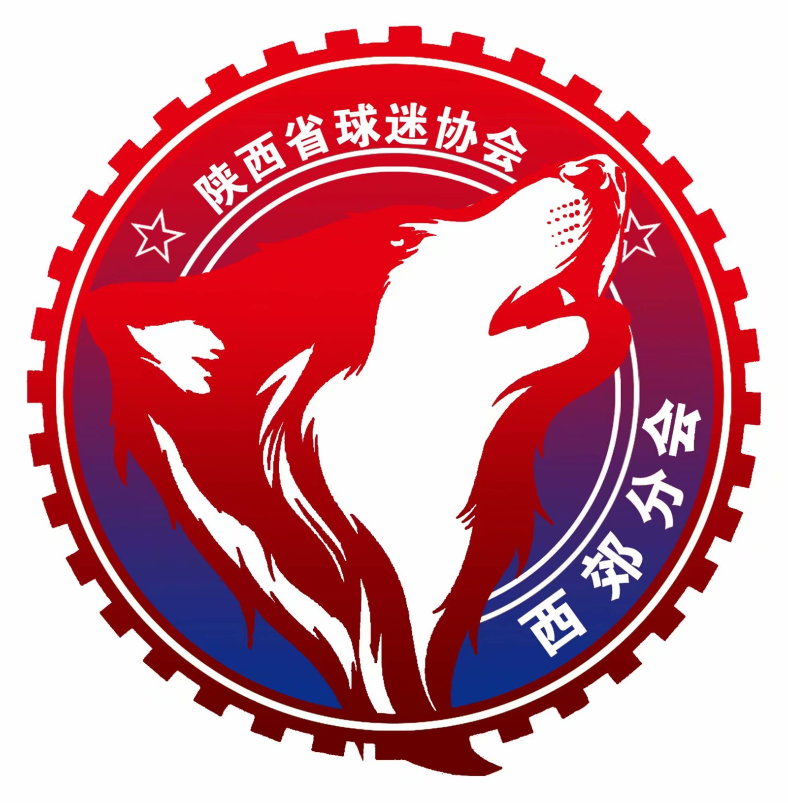 我与足球的羁绊,我与足球结缘作文