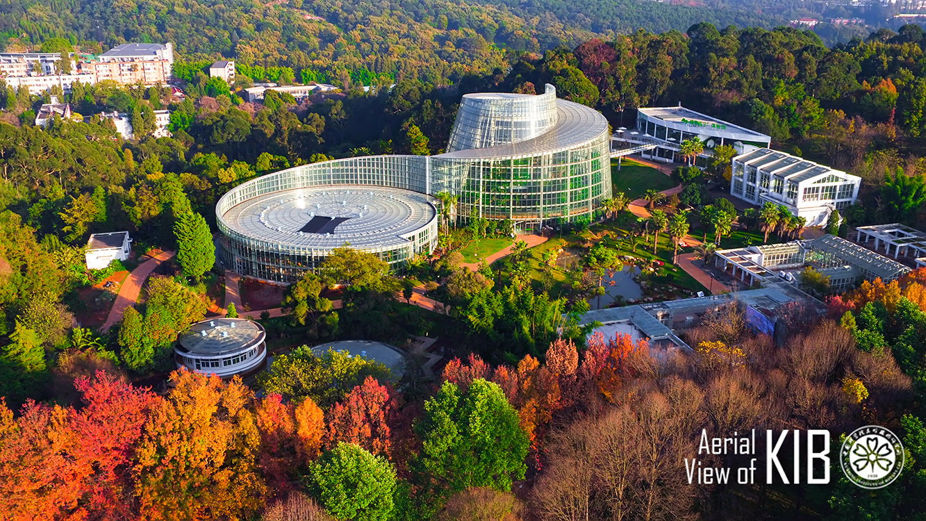 云南中科院院所有哪些,云南中科院简介