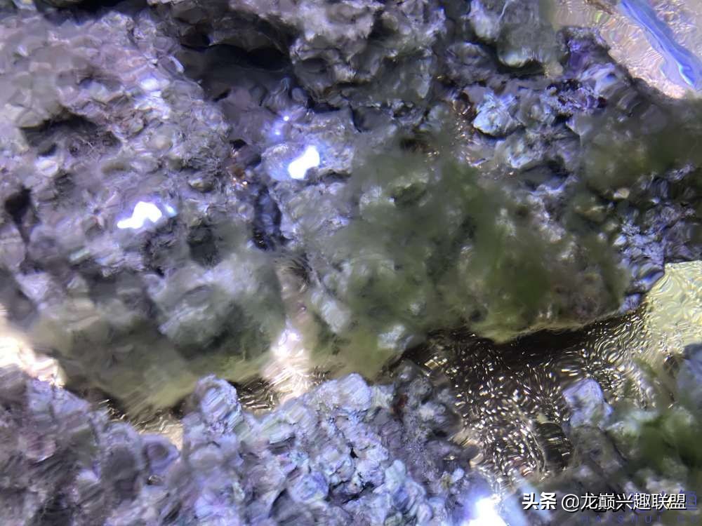 从零开始玩海缸的方法,从零开始玩海缸全过程