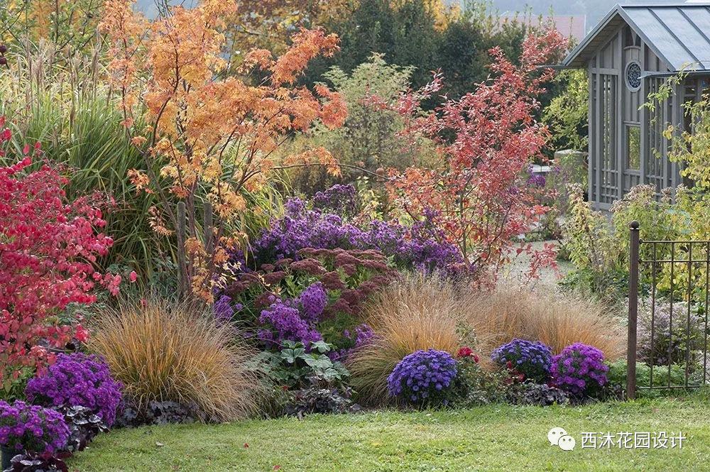 如果气温变冷需要准备什么,温度降到几度花搬到室内